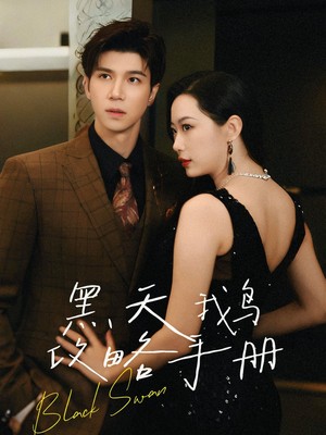 黑天鹅攻略手册