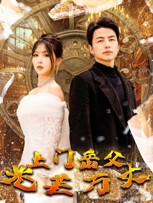 上门岳父光芒万丈