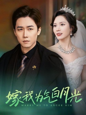 嫁我为气白月光