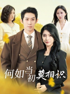 何如当初莫相识
