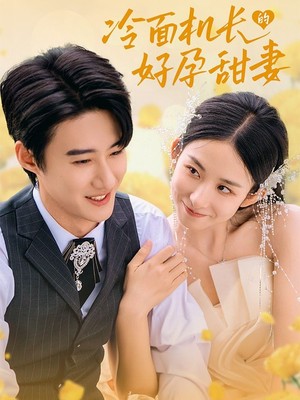 冷面机长的好孕甜妻