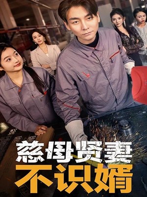 慈母贤妻不识婿