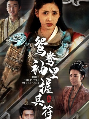 鸳鸯袖里握兵符