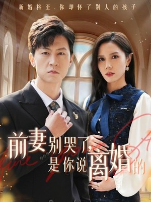 前妻别哭了是你说离婚的