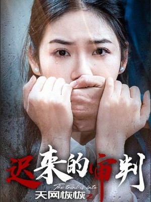 天网恢恢之迟来的审判