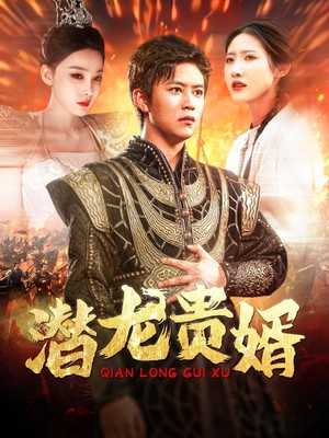 潜龙贵婿