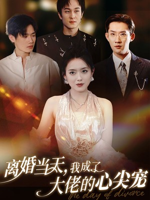 离婚当天我成了大佬的心尖宠
