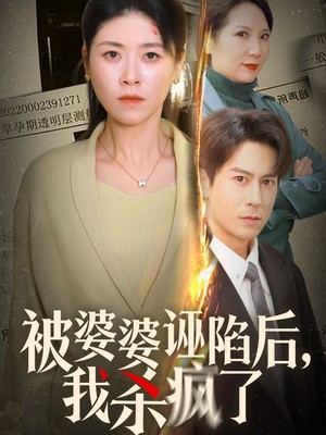 被婆婆诬陷后我杀疯了