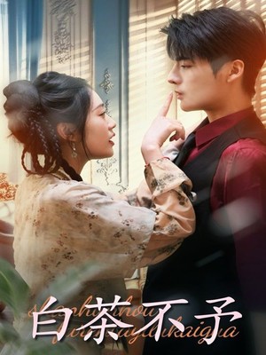 白茶不予