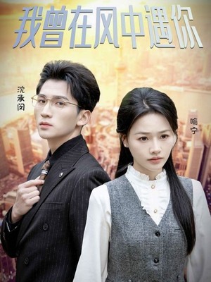 我曾在风中遇你