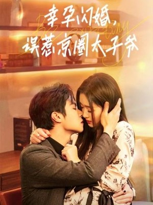 幸孕闪婚，误惹京圈太子爷