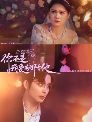 你不是我爱的那个他