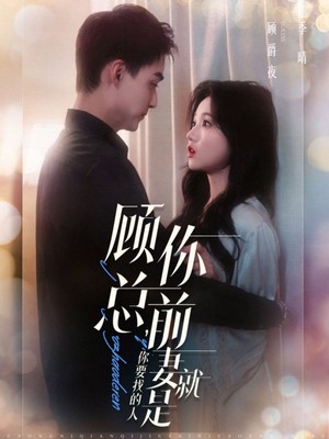 顾总你前妻就是你要找的人
