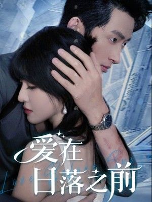 爱在日落之前