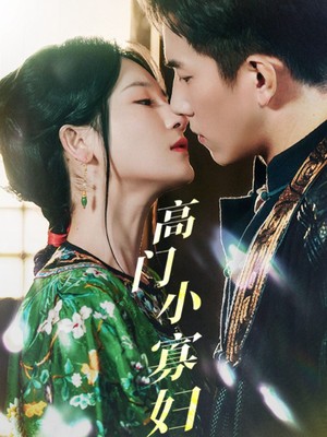 高门小寡妇