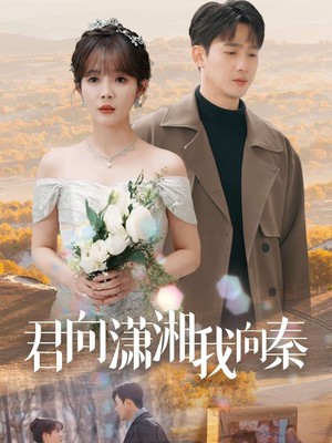 君向潇湘我向秦