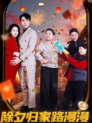 除夕归家路漫漫