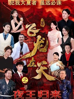 飞龙在天之夜王归来