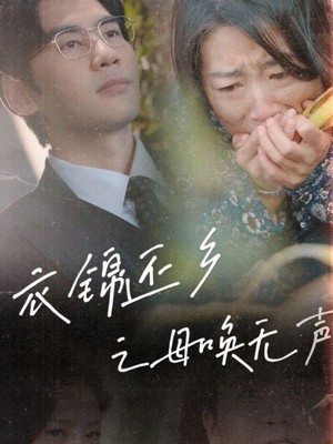 衣锦还乡之母唤无声