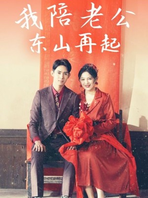 我陪老公东山再起