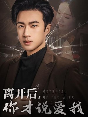 离开后你才说爱我