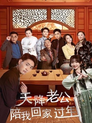 天降老公陪我回家过年