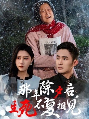 那年除夕后生死不复相见