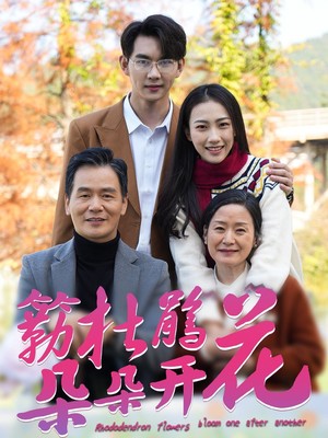 簕杜鹃花朵朵开