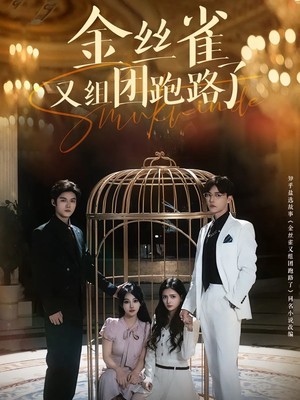 金丝雀又组团跑路了