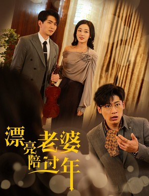 漂亮老婆陪过年