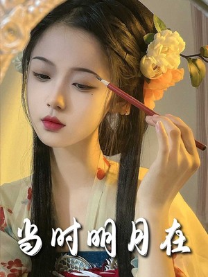 当时明月在