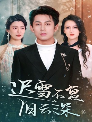 迟雪不复旧云深