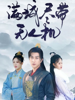 满城尽带无人机