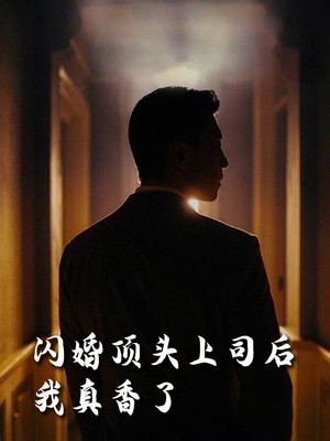闪婚顶头上司后我真香了
