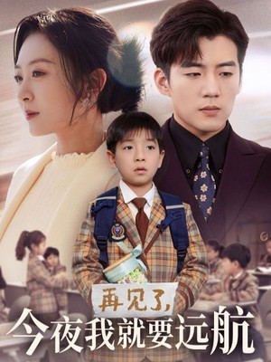 再见了今夜我就要远航