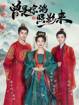 曾是惊鸿照影来