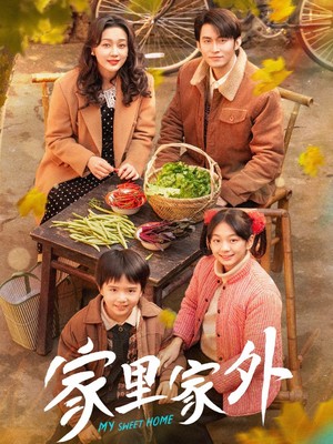 家里家外