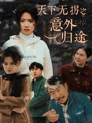 天下无拐之意外归途