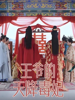 王爷的天降毒妃