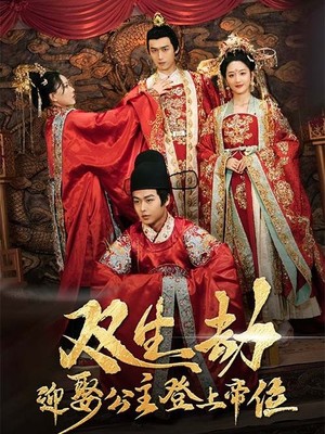 双生劫迎娶公主登上帝位