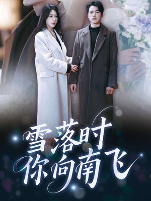 雪落时你向南飞