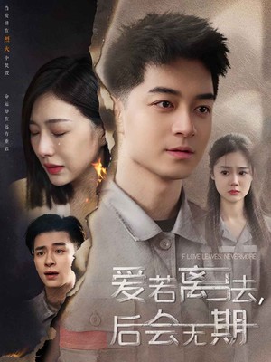 爱若离去，后会无期