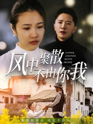 风中聚散不由你我