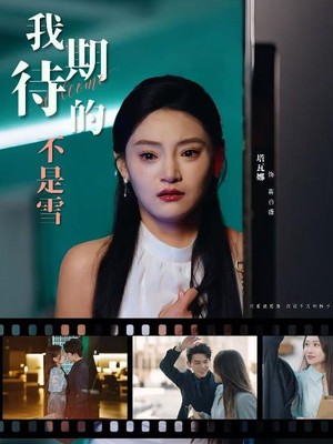 我期待的不是雪