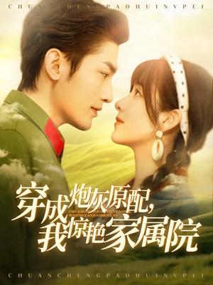 穿成炮灰原配，我惊艳家属院