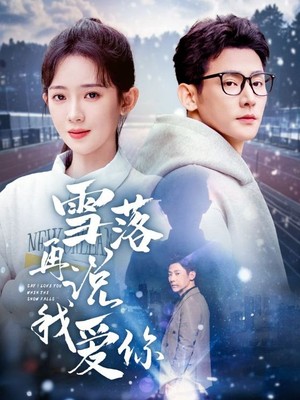 雪落再说我爱你