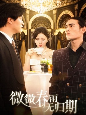 微微春雨无归期