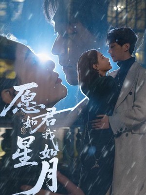 愿君如星我如月