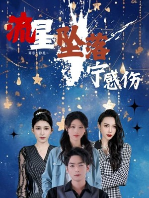 流星坠落宁感伤