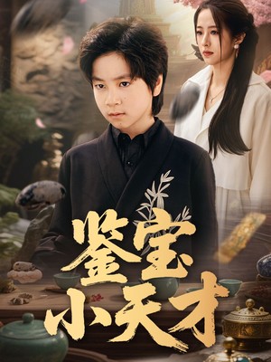 鉴宝小天才